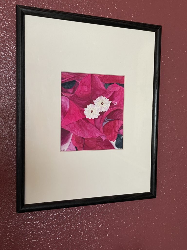 Framed Bougainvillea