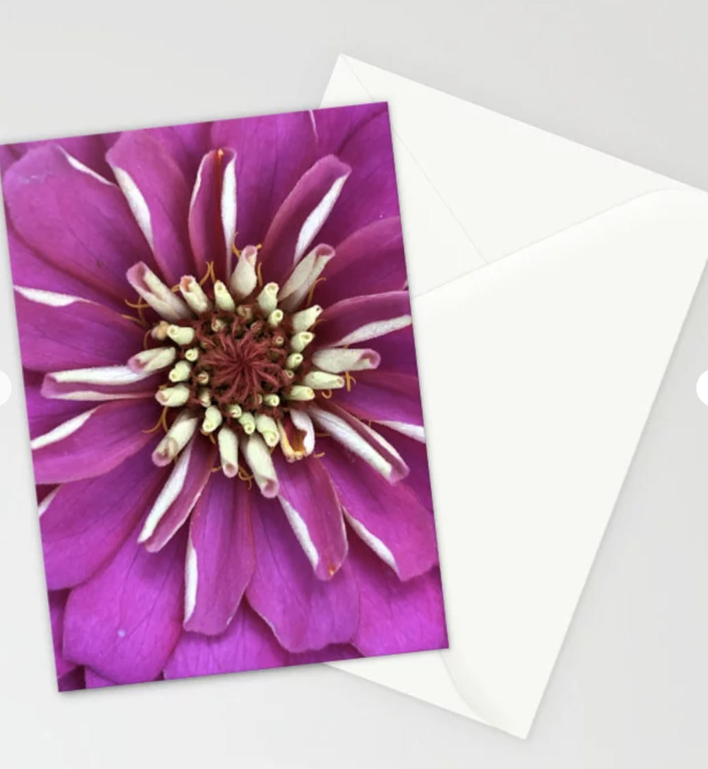 Macro Zinnia Photo Greeting Card