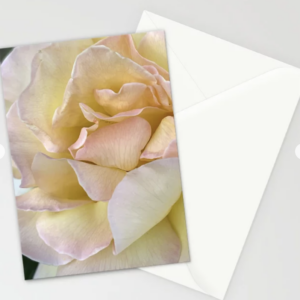 Macro Yellow Rose Photo Greeting Card